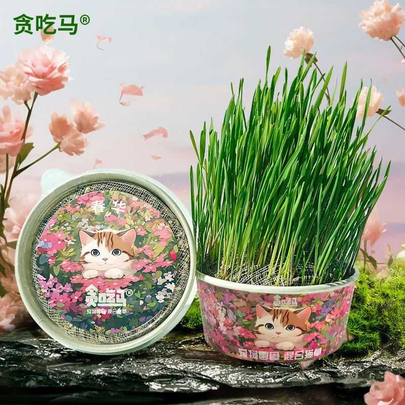 Organic Cat Grass