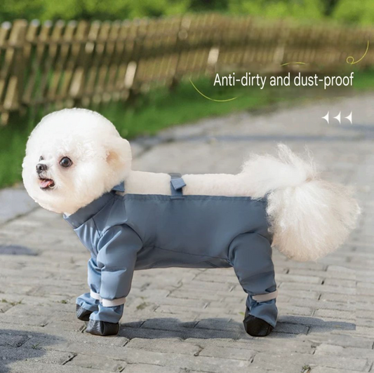 Dog Pants