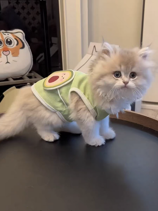 Avocado Summer Cool Vest