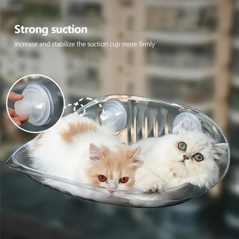 CutierStore® Cat window car Hammock