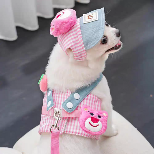 Cute Pet Harness set