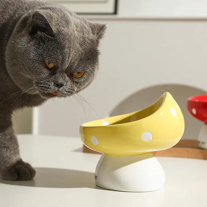 Cat Bowls Raised Cat Food Bowls