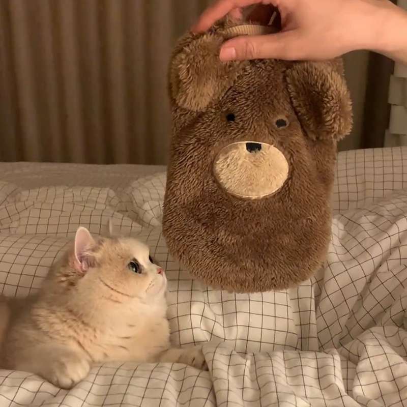 Fluffy Bear Cat Vest