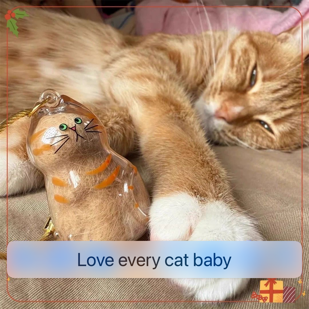 Cat Hair Keepsake Capsule Pendant Keychain