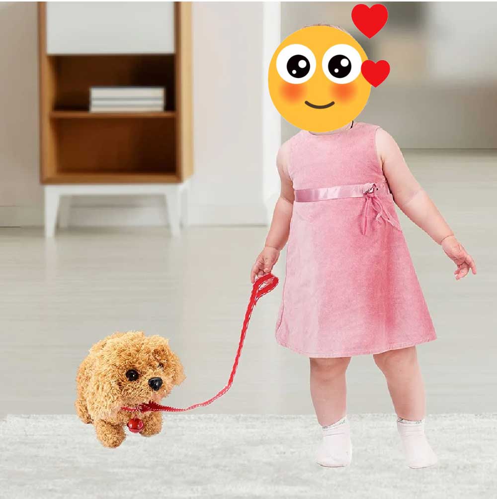 Dog Toy