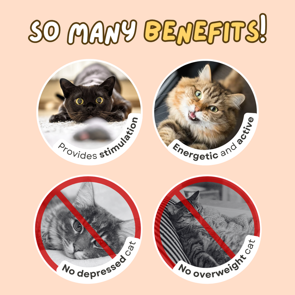 Multifunctional Cat laser Feather Stick Toy (2 in 1)