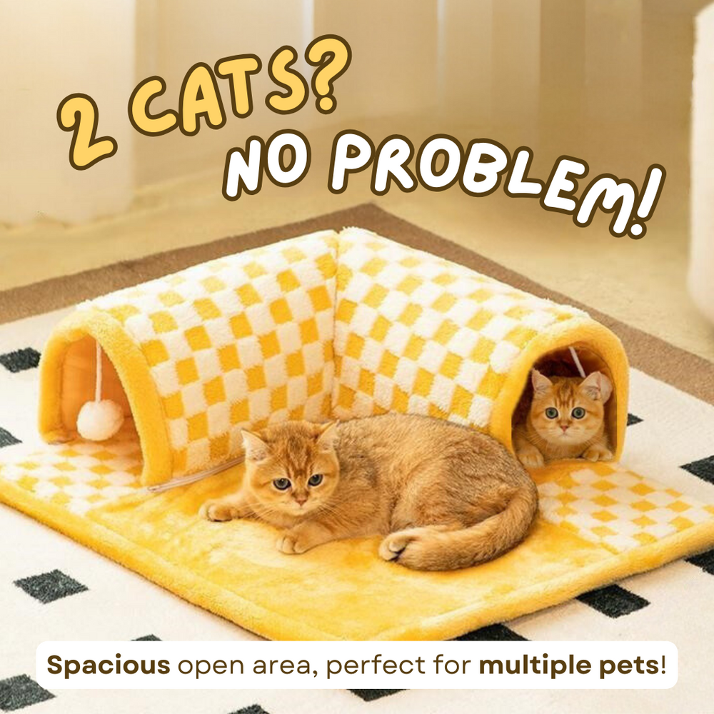 Cat tunnel soft bed