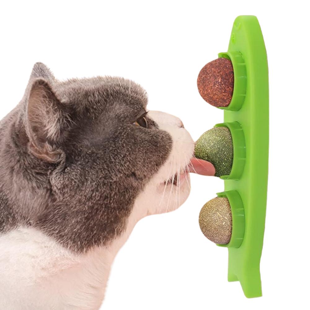 Catnip licking ball