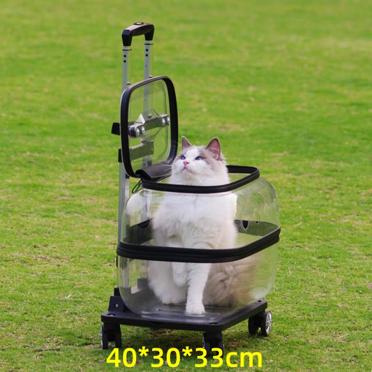Pet Trolley transparent Suitcase