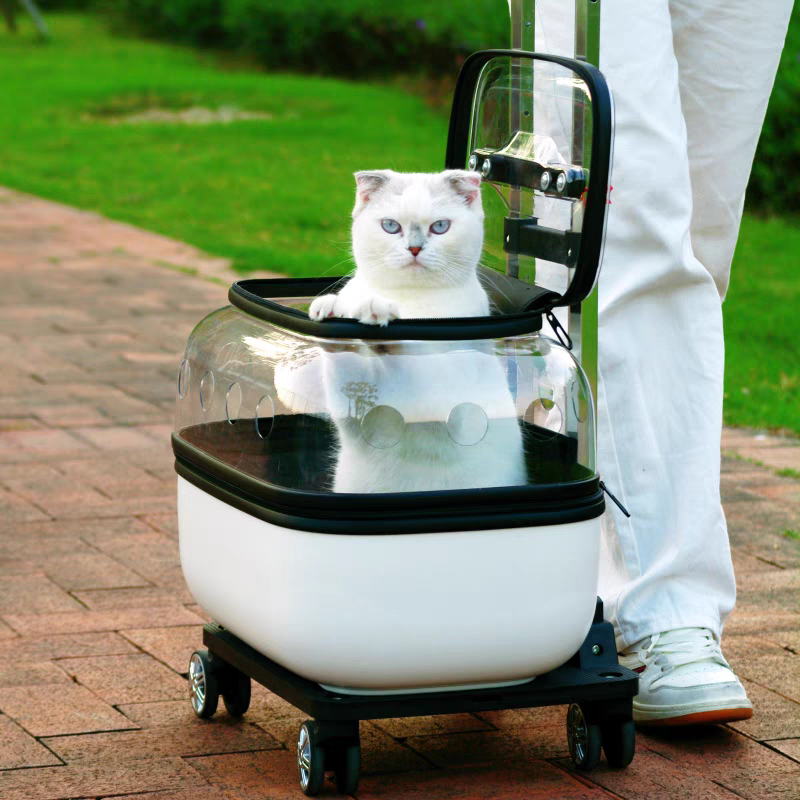 Pet Trolley transparent Suitcase