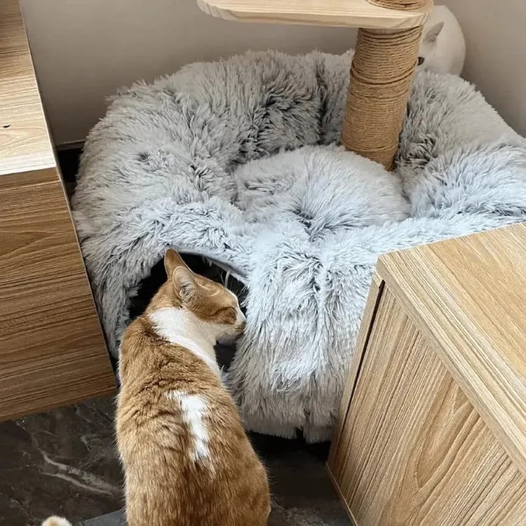 Cat Bed with Tunnel