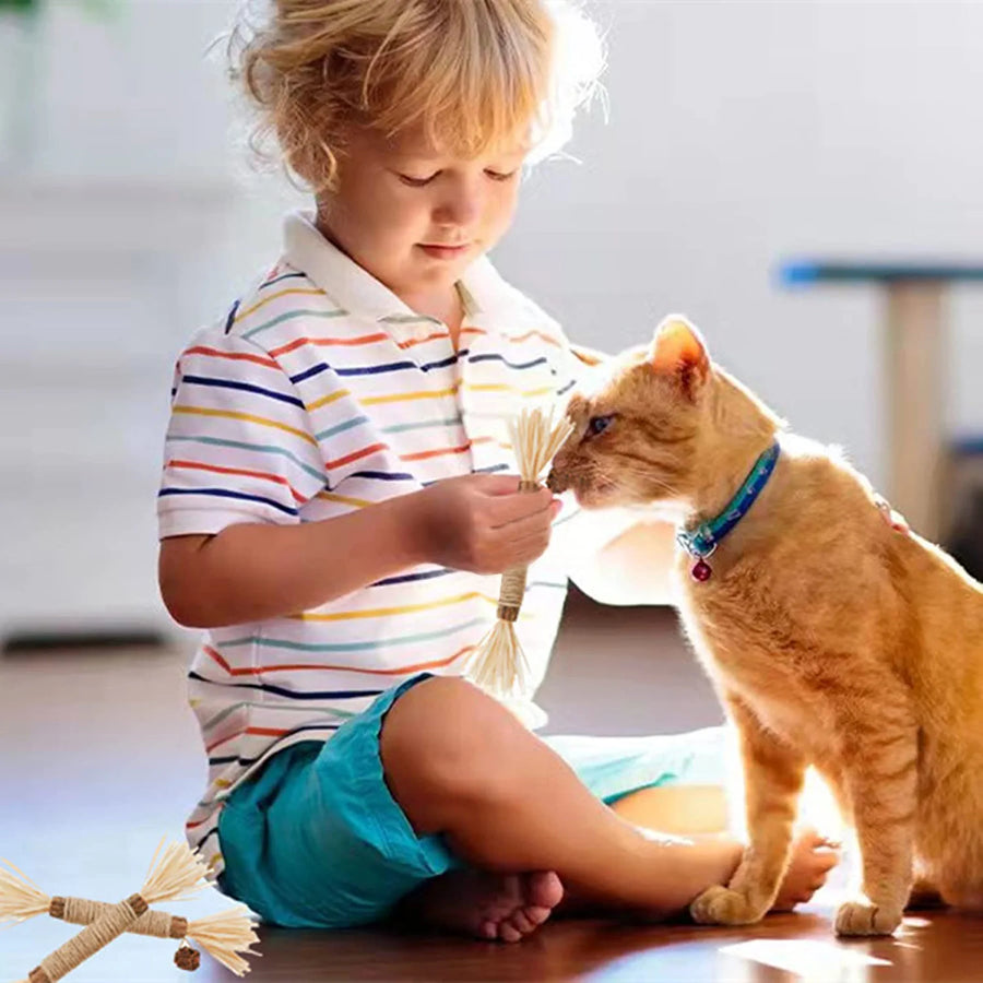 Cat Toys Silvervine Chew Stick - PP18