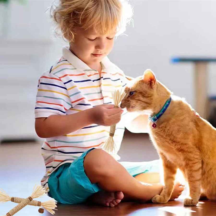 Cat Toys Silvervine Chew Stick - PP18